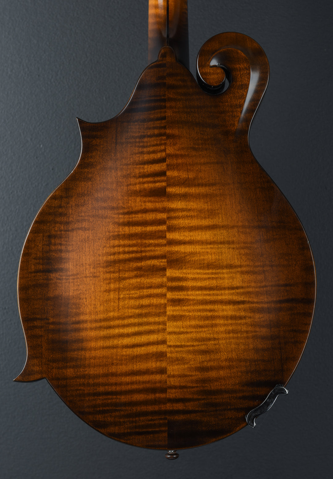 NFS-F5 Mandolin, Recent