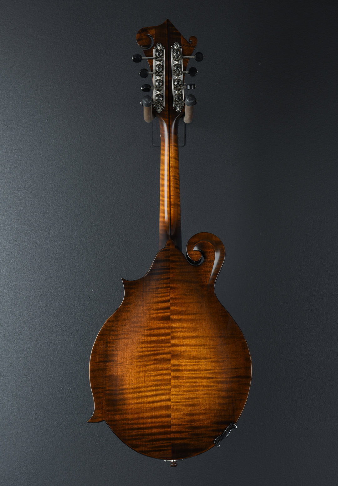 NFS-F5 Mandolin, Recent