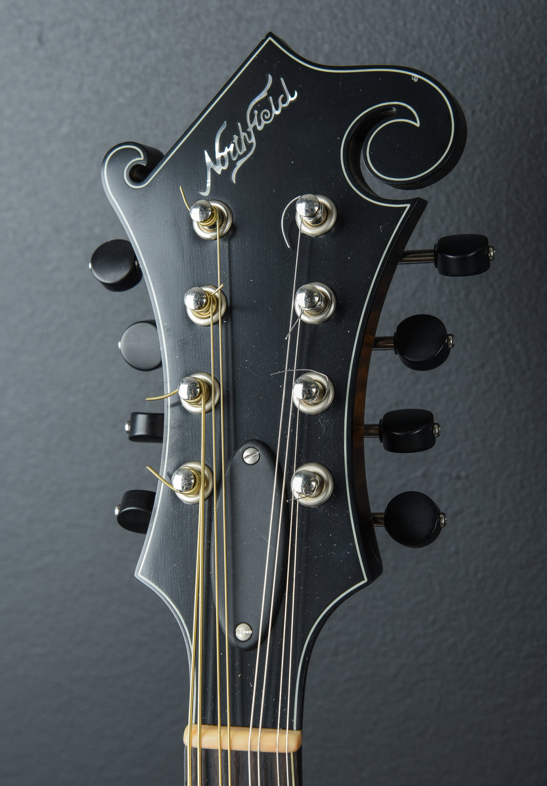 NFS-F5 Mandolin, Recent