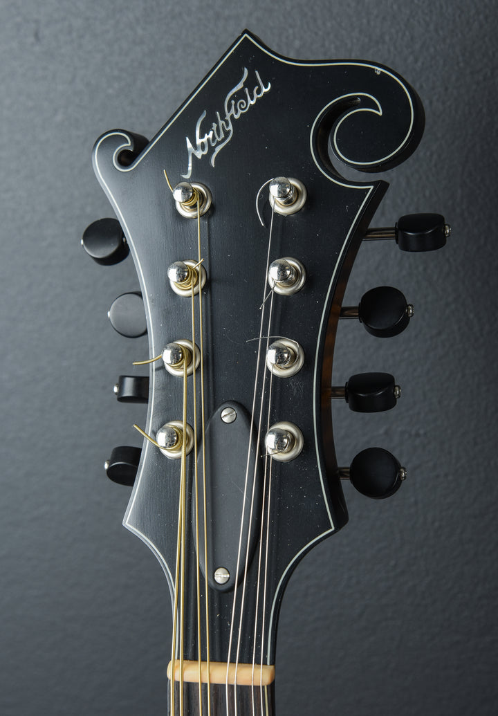 NFS-F5 Mandolin, Recent
