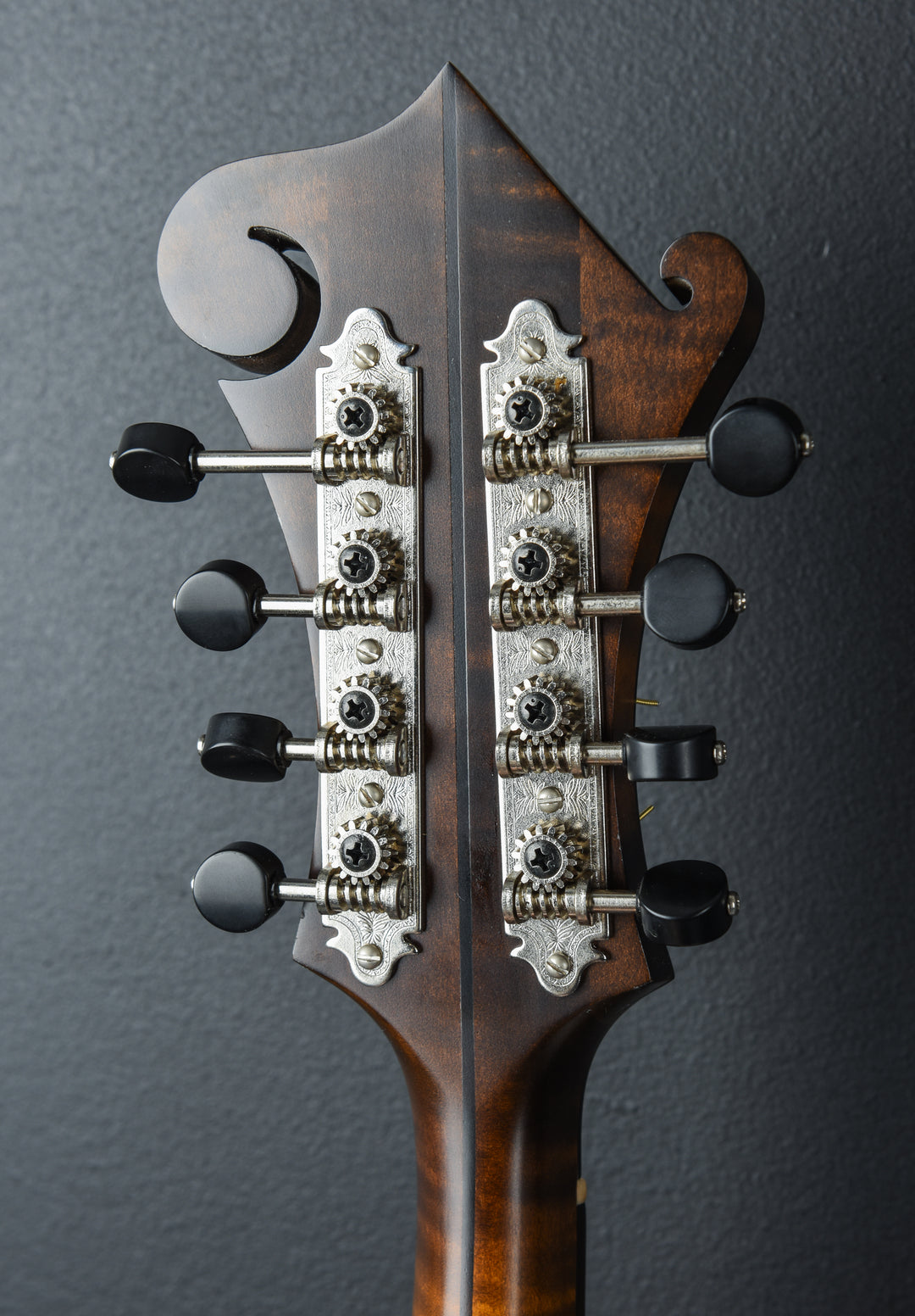 NFS-F5 Mandolin, Recent