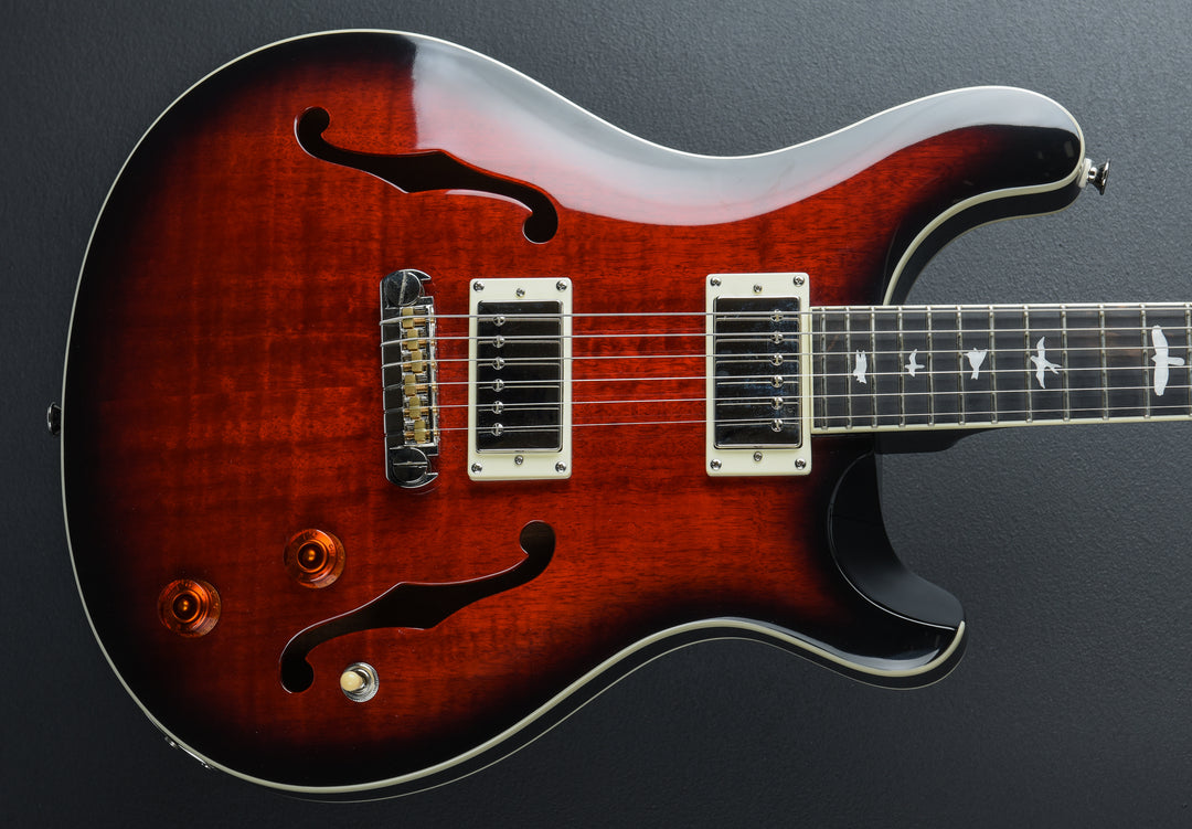 SE Hollowbody Standard &