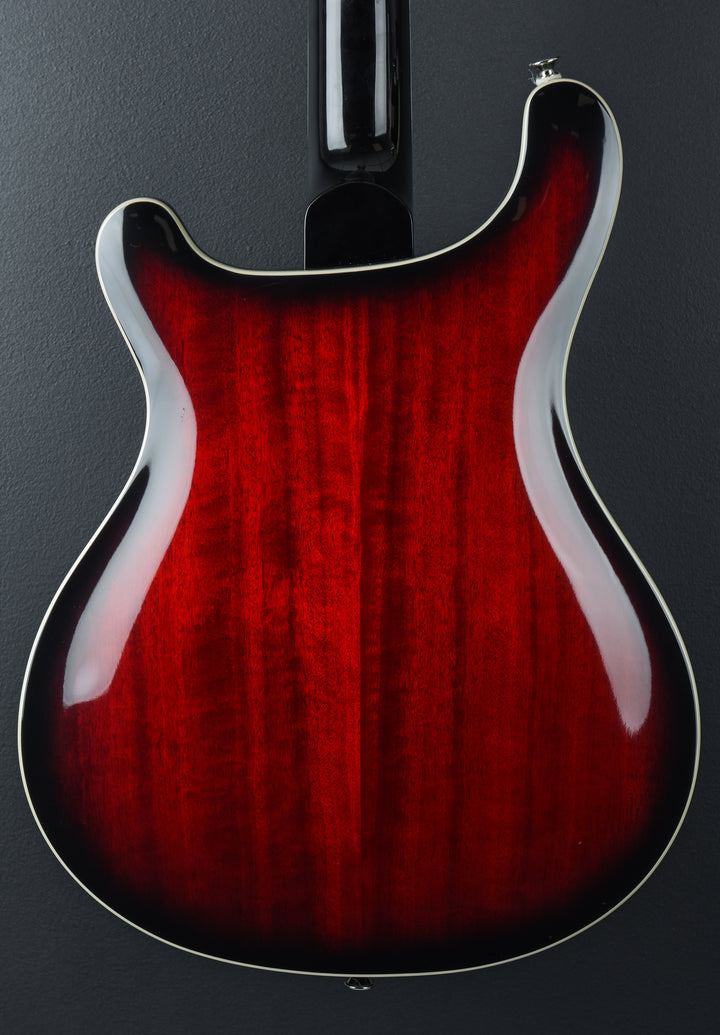 SE Hollowbody Standard &