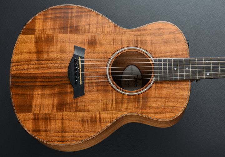 USED GS Mini-e Koa &