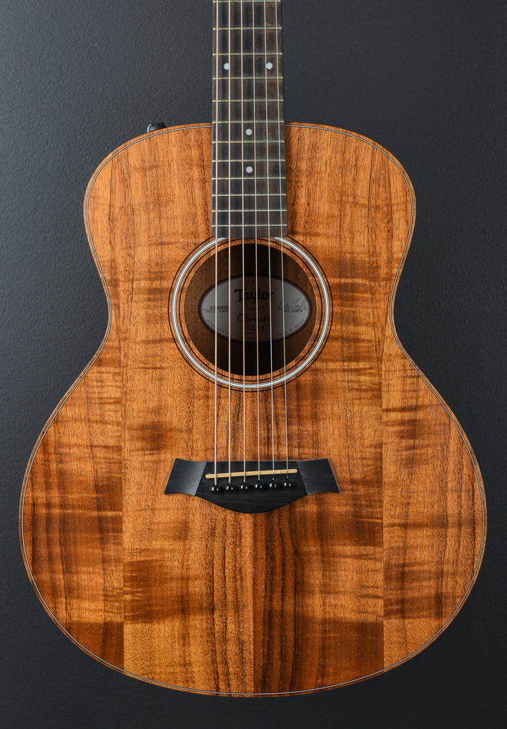 USED GS Mini-e Koa &
