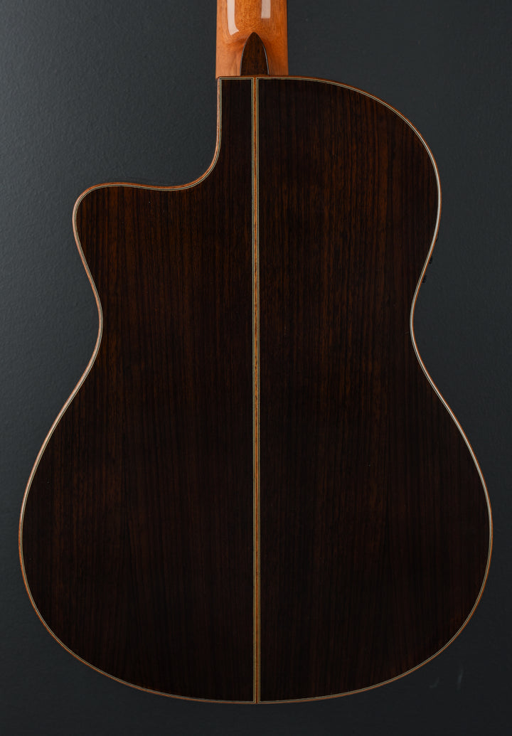 Fusion 12 Classical 'Recent