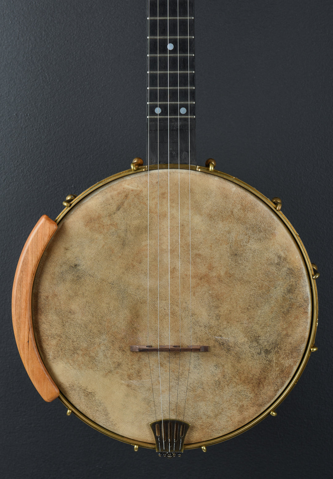 Maple Ridge Banjo, Recent