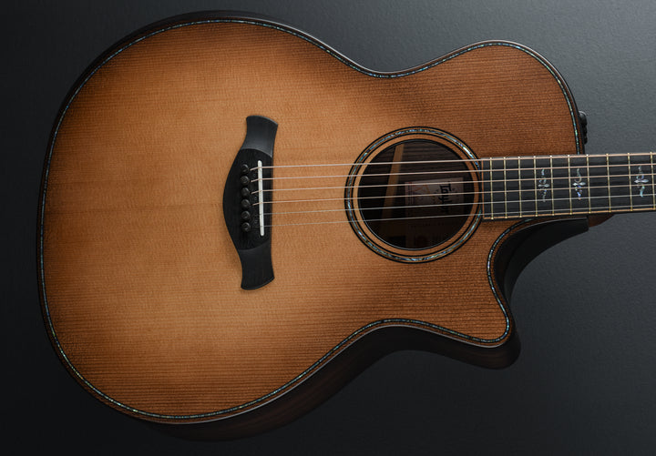 Builder's Edition 914CE - Wild Honey Burst