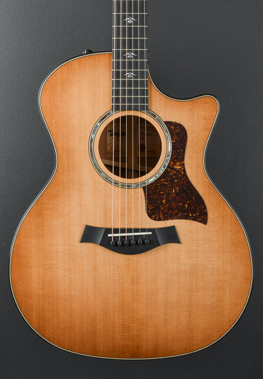 514ce - Urban Ironbark