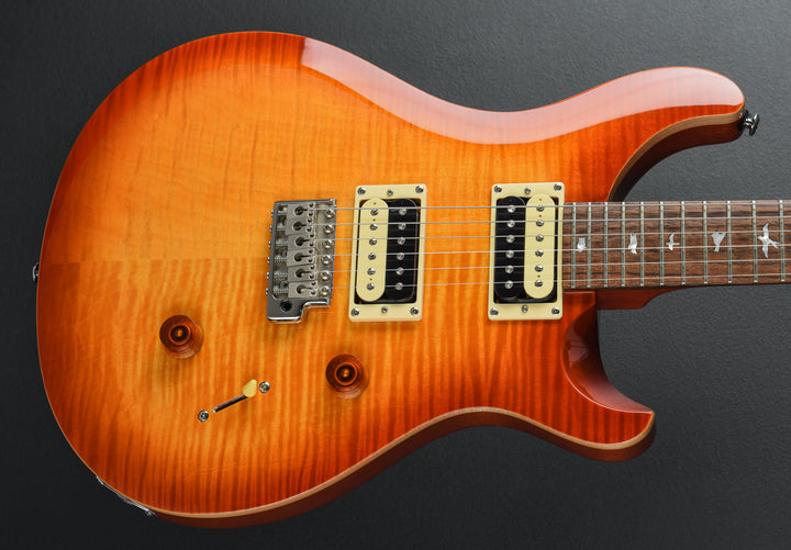 SE Custom 24 &