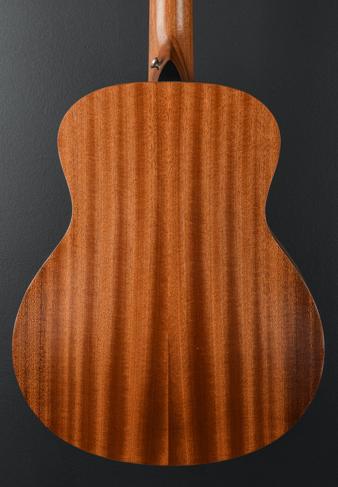 GS Mini Sapele '23