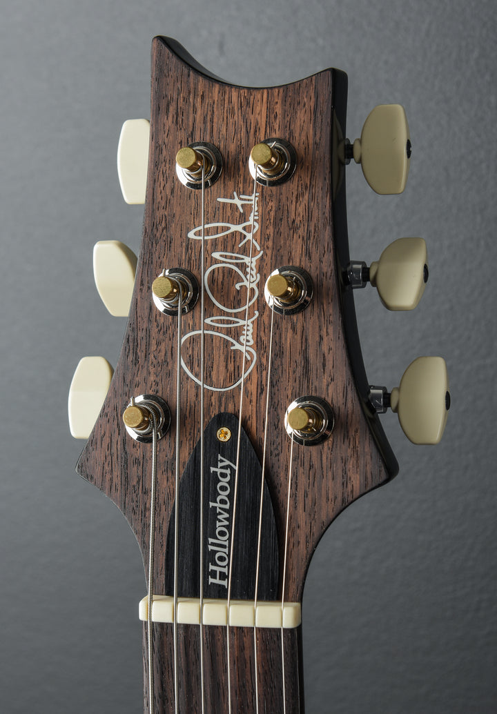 Hollowbody II Piezo 10 Top - Charcoal Burst