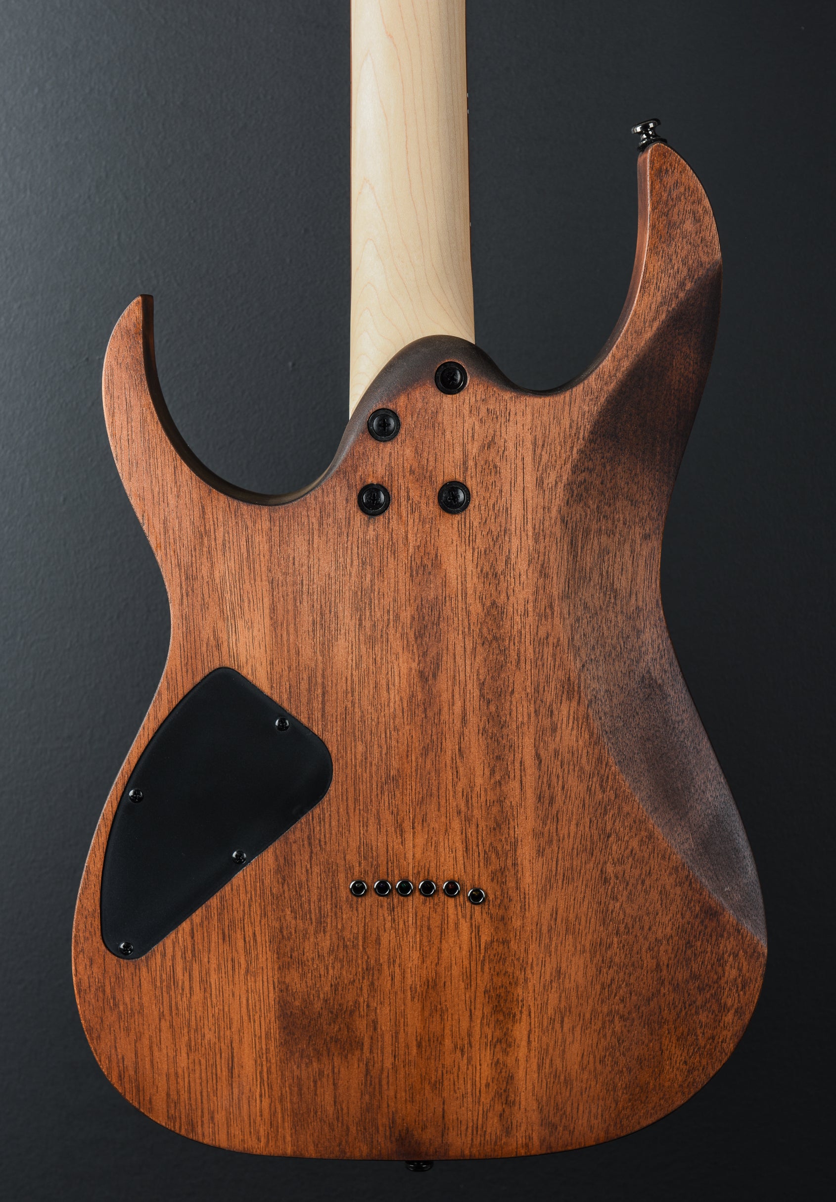 RG421 Mahogany Oil Finish Dave s Guitar Shop