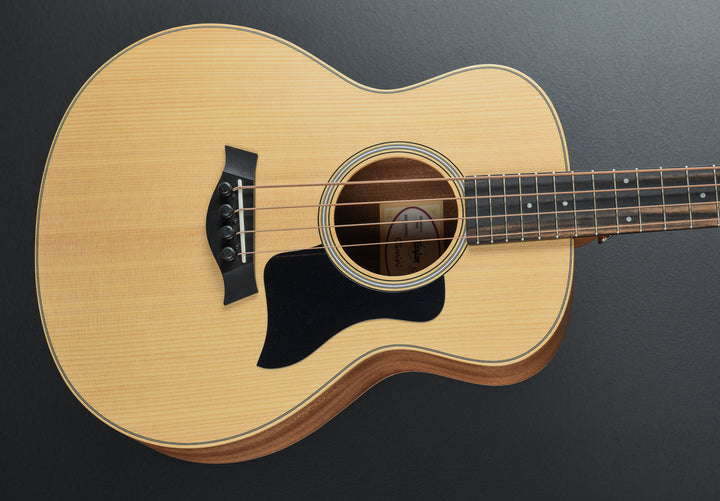 GS Mini-E Bass