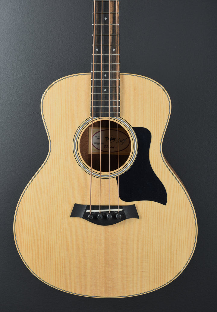 GS Mini-E Bass