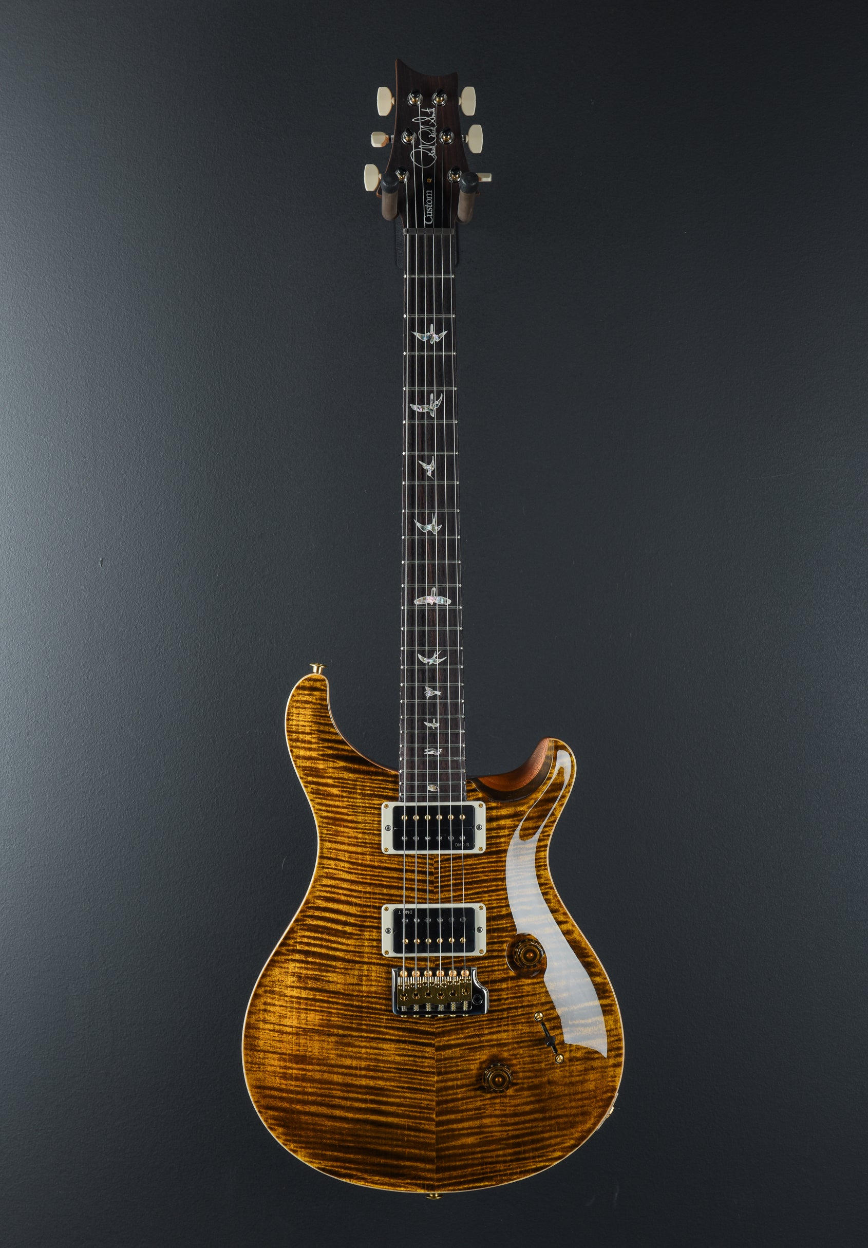 Custom 24 10 Top - Black Gold – Dave's Guitar Shop