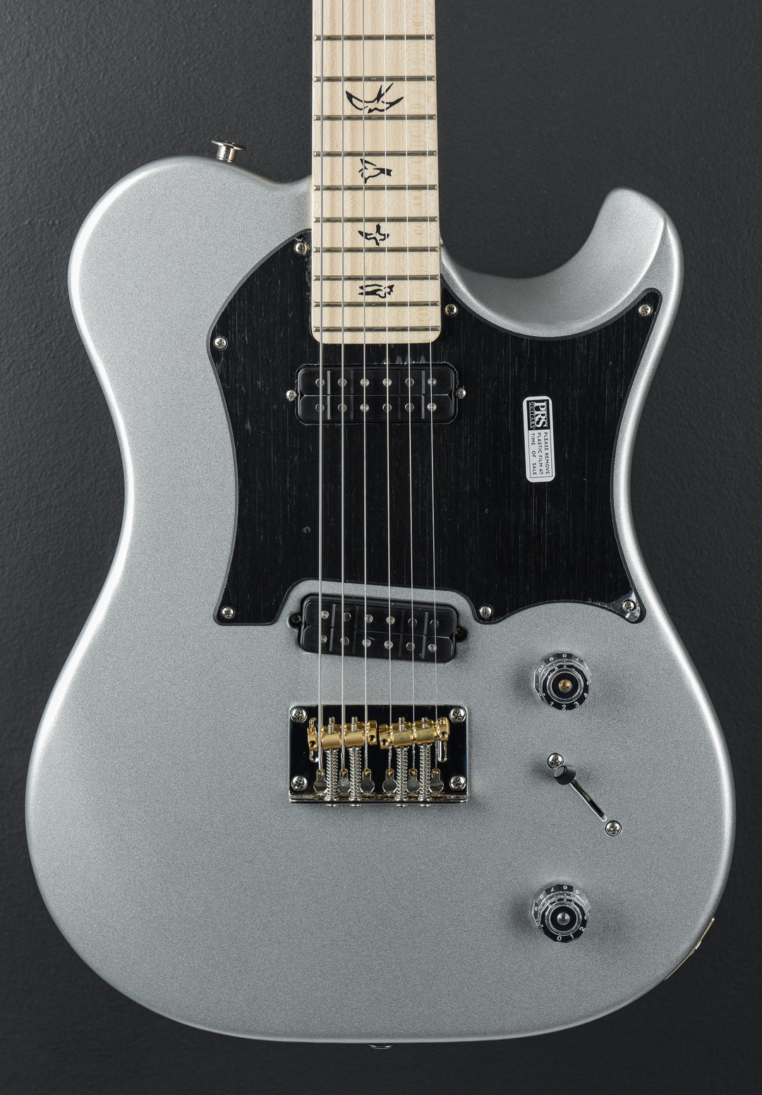 Myles Kennedy - Platinum Metallic