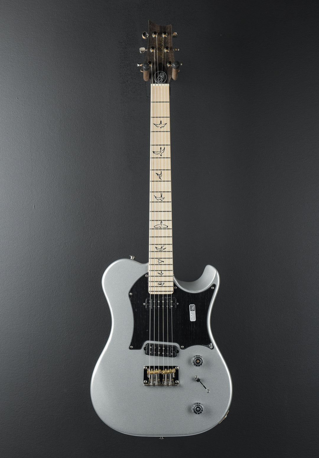 Myles Kennedy - Platinum Metallic