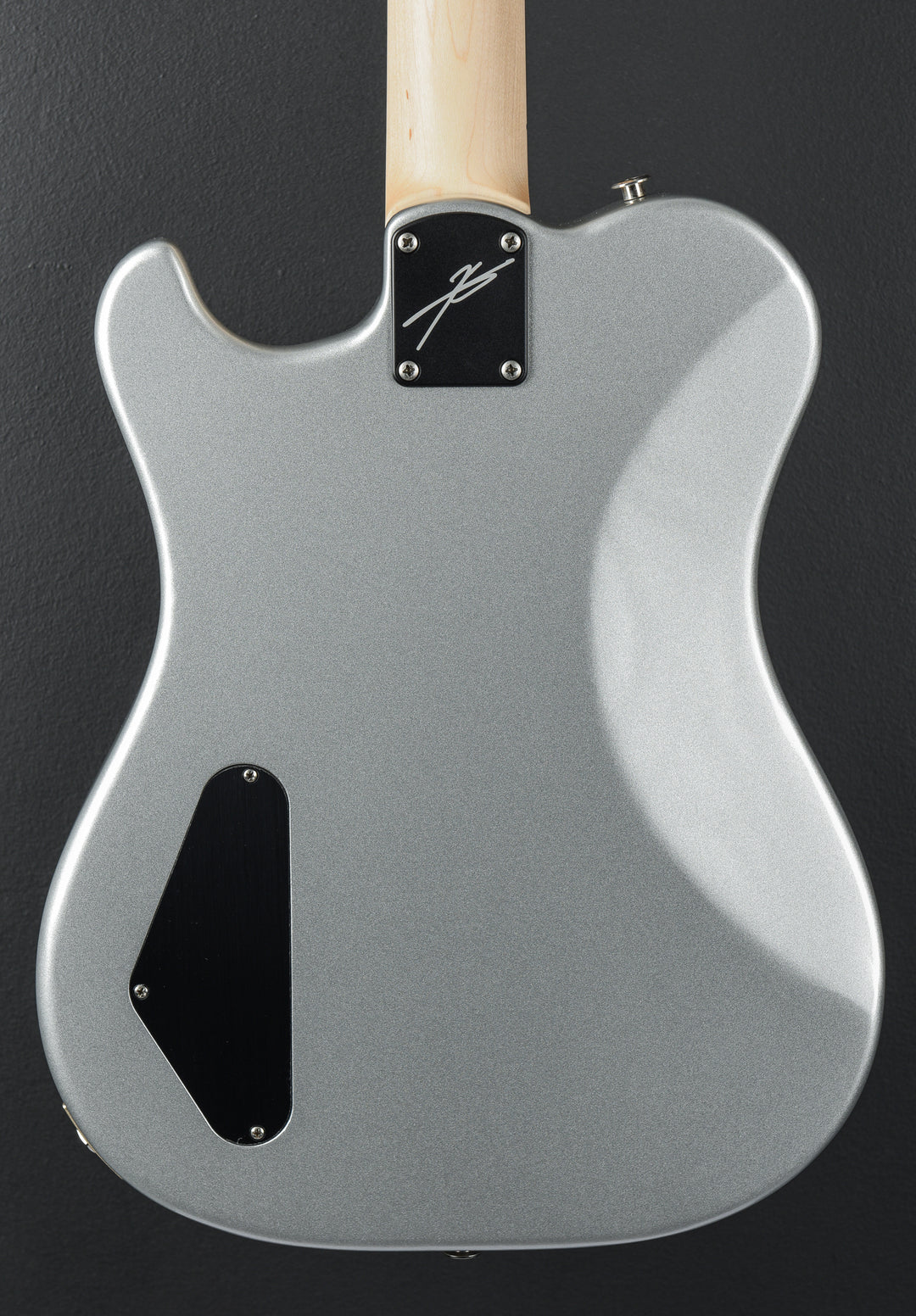 Myles Kennedy - Platinum Metallic