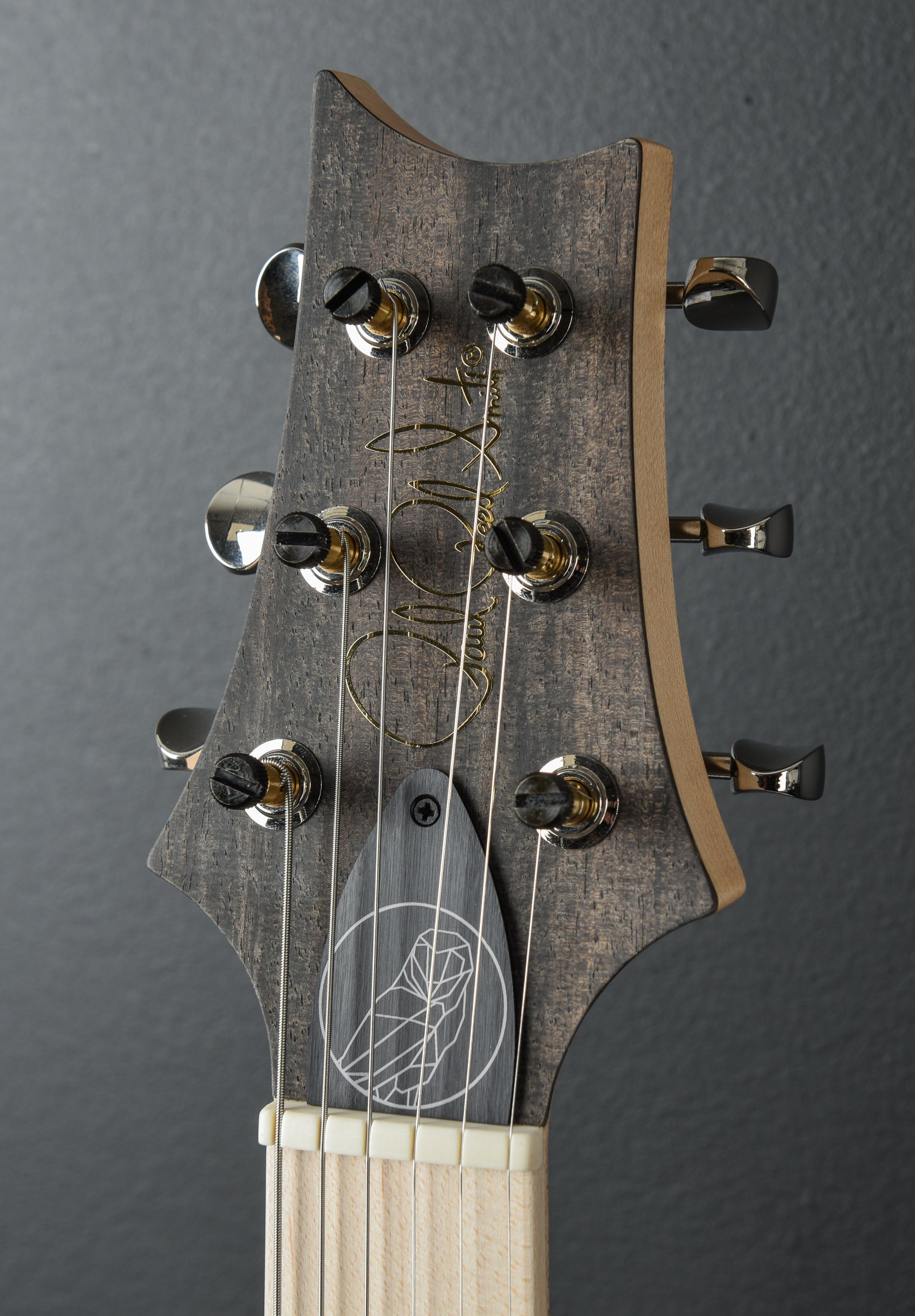 Myles Kennedy - Platinum Metallic – Dave's Guitar Shop