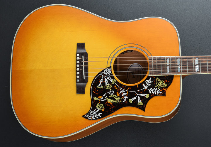 Hummingbird Standard Faded &