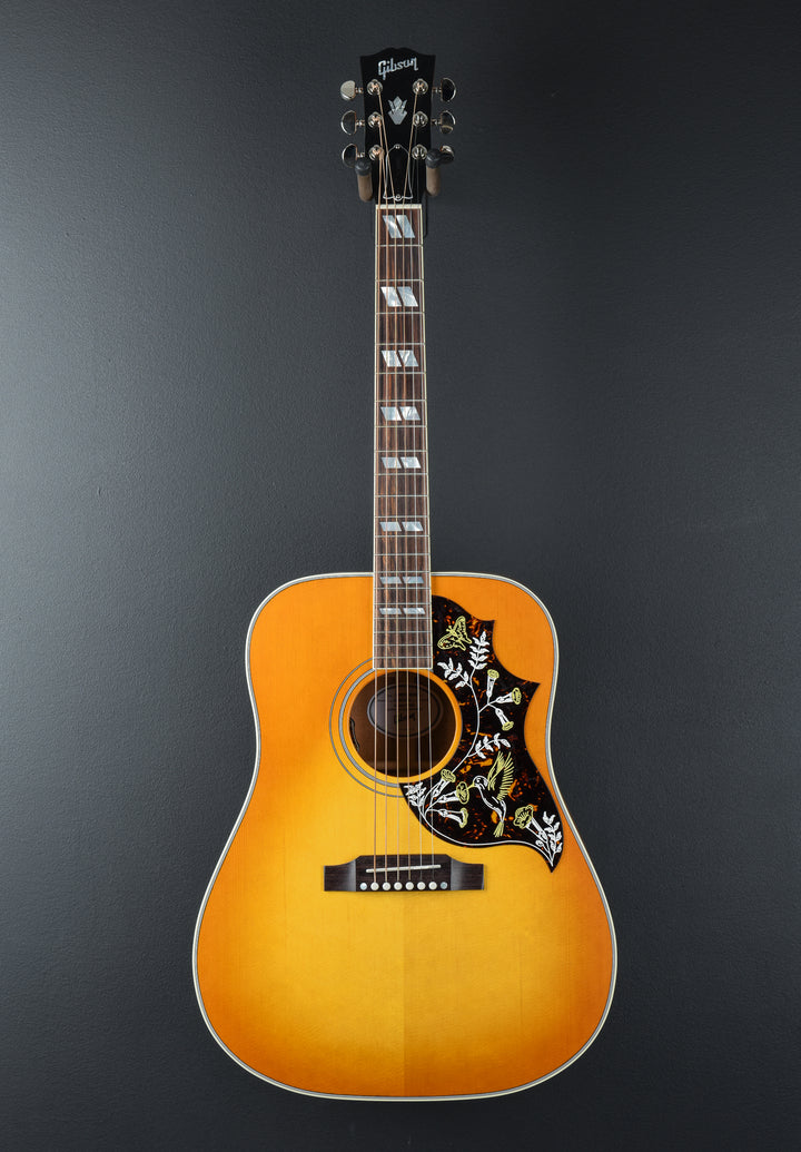 Hummingbird Standard Faded &