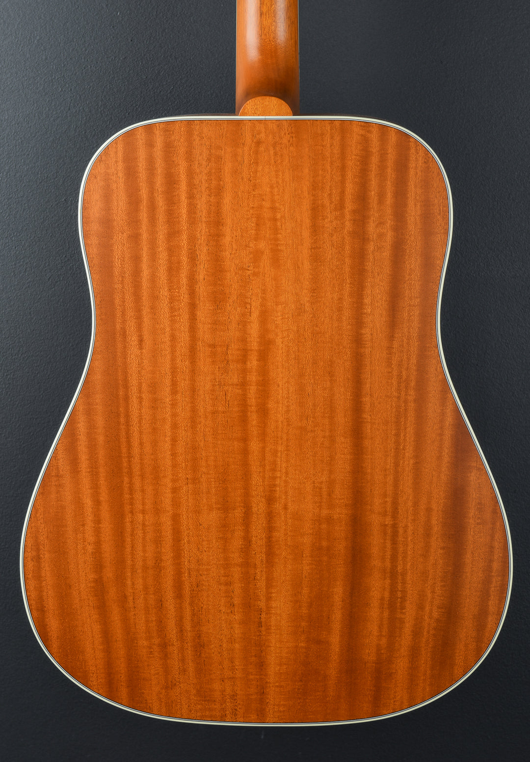 Hummingbird Standard Faded &