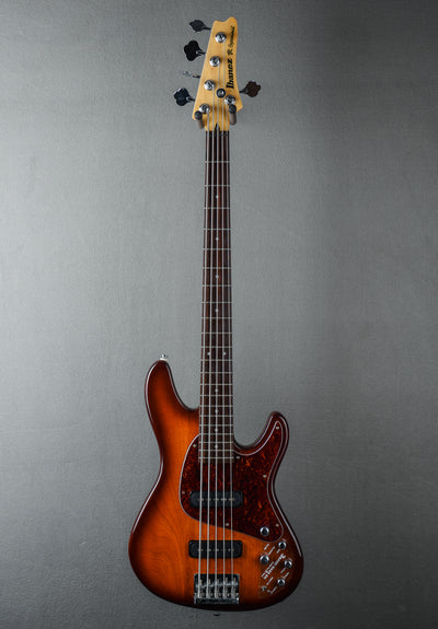 TR-505 5 String Bass, '90s