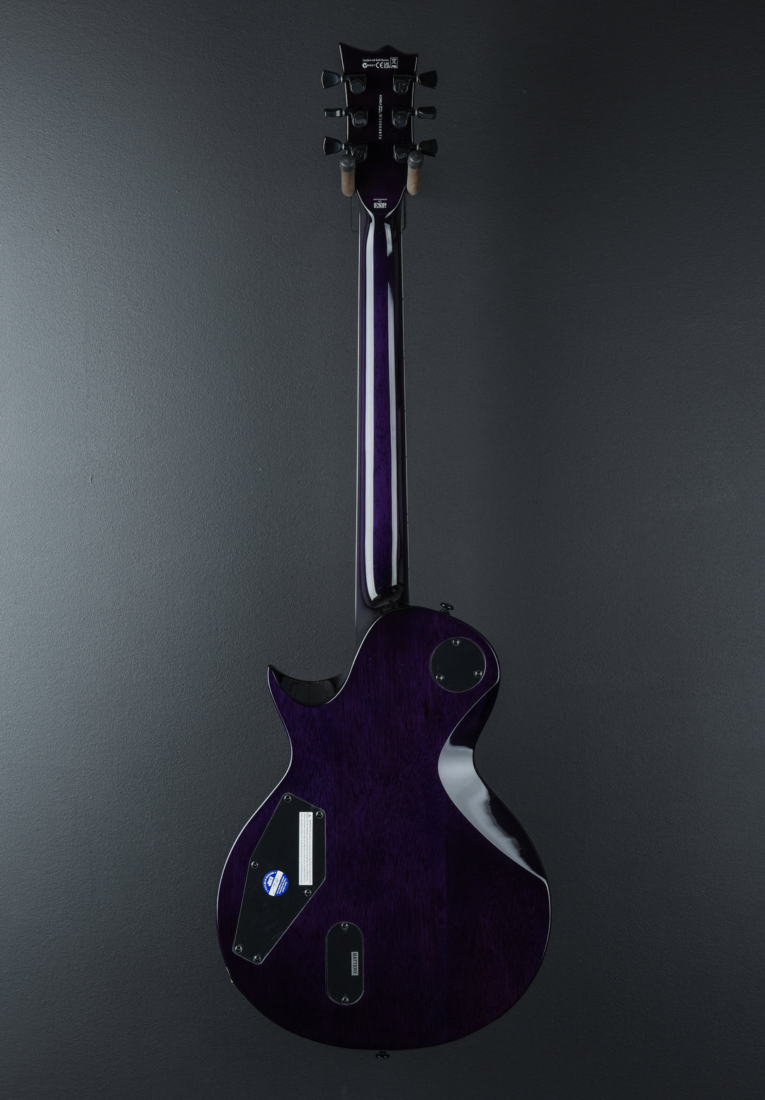 EC-1000 QM - See Thru Purple Sunburst