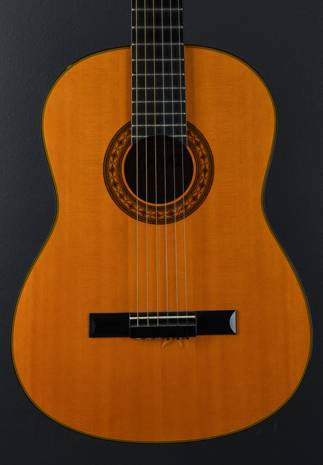 G125 Classical Nylon String 'Recent