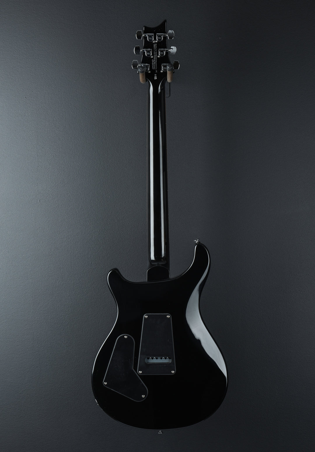 SE Custom 24 &