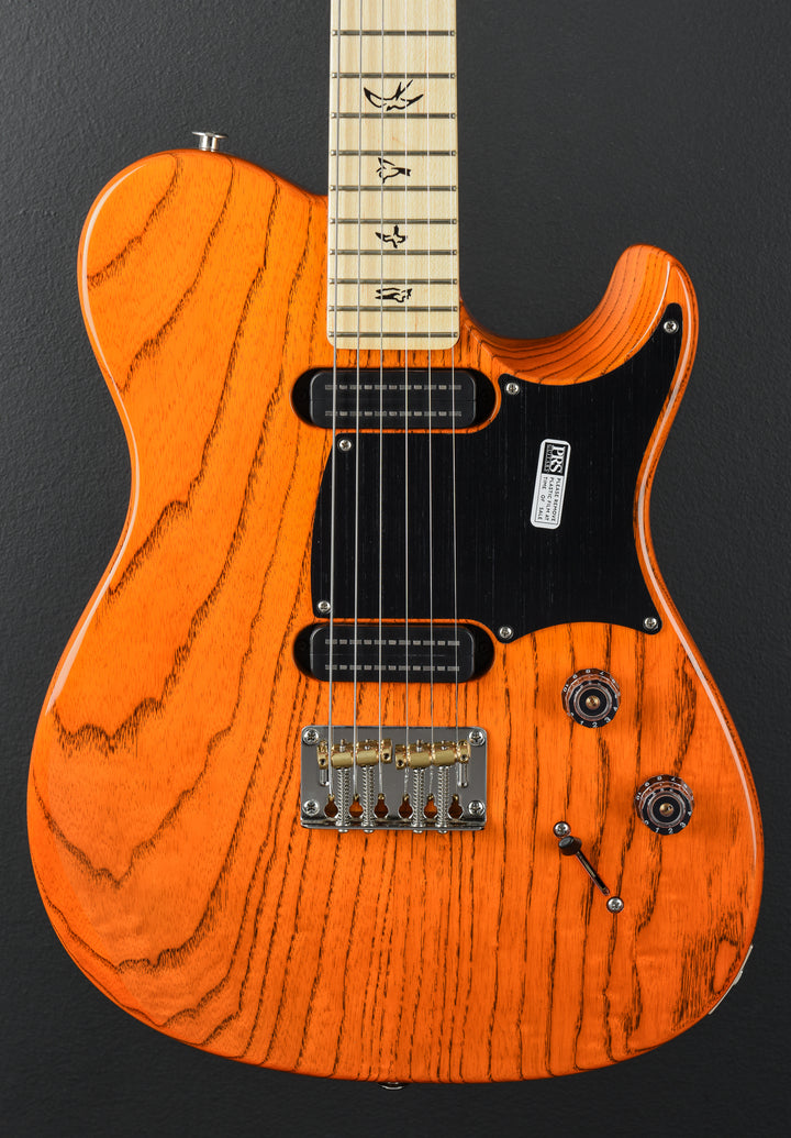 NF53 - Orange Tabby