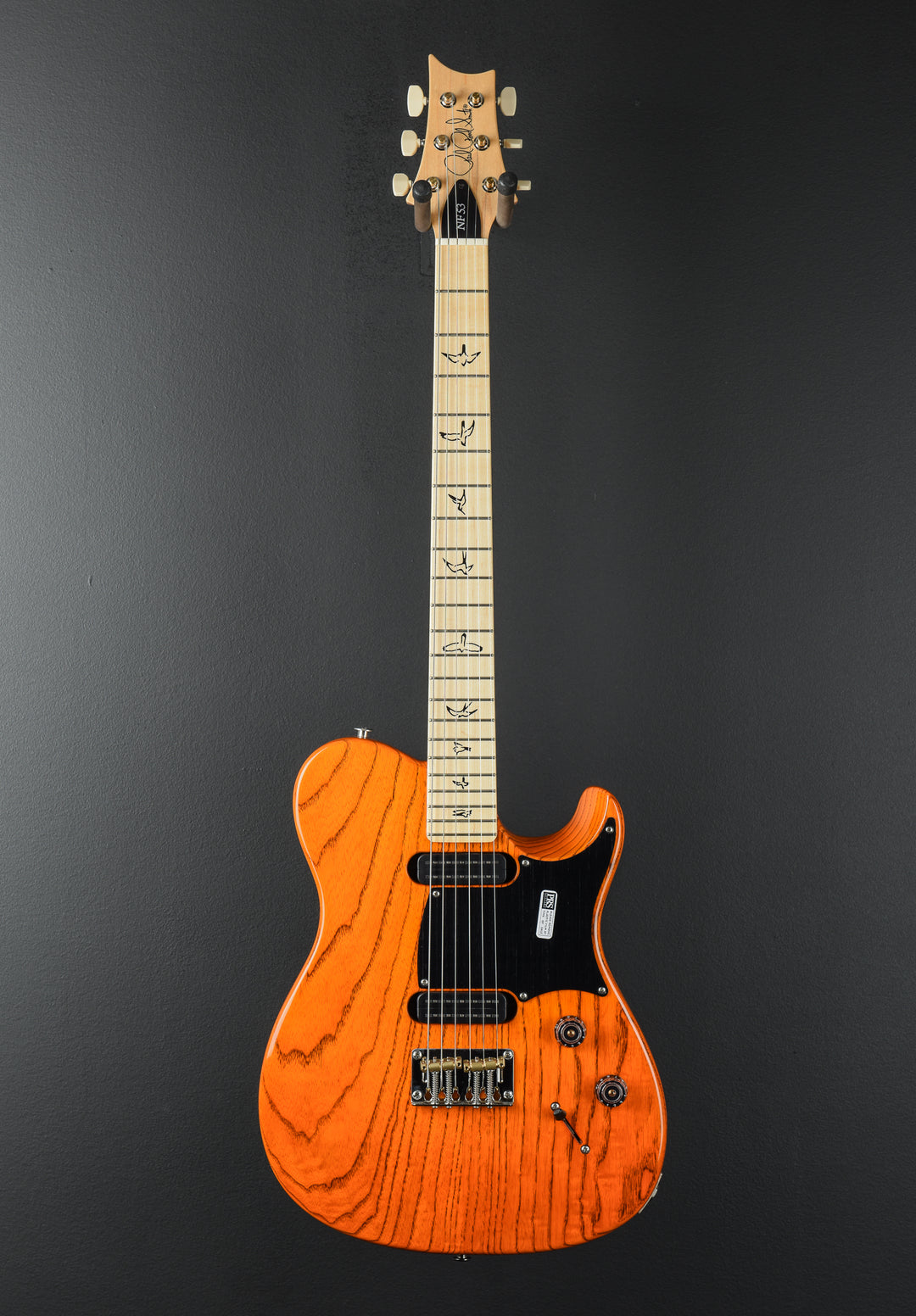 NF53 - Orange Tabby
