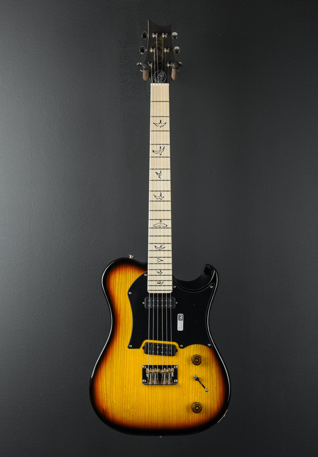 Myles Kennedy - Tri-Color Sunburst