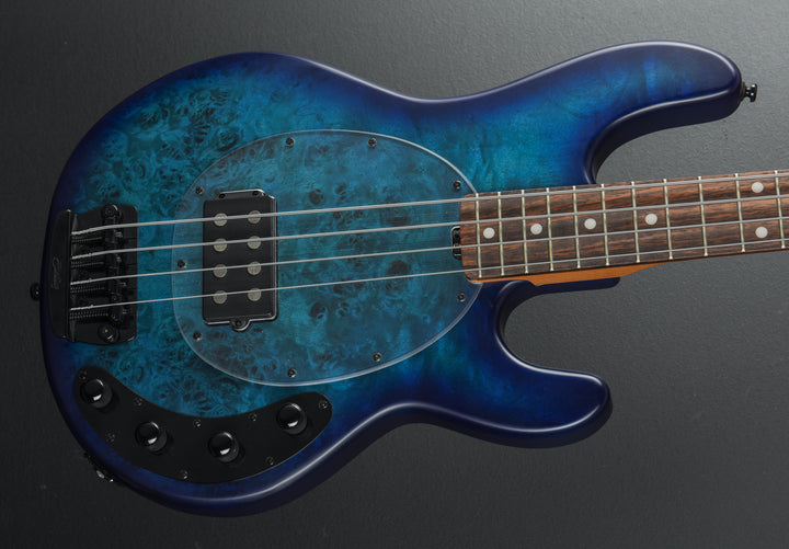 Stingray Ray 34 Burl Bass 'Recent