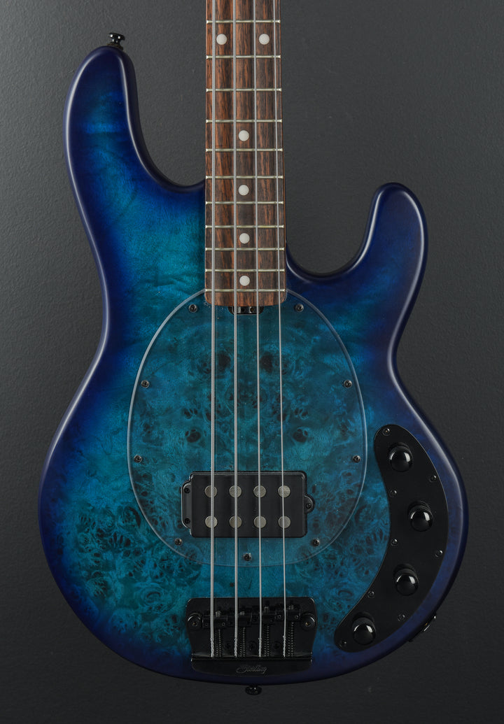 Stingray Ray 34 Burl Bass 'Recent