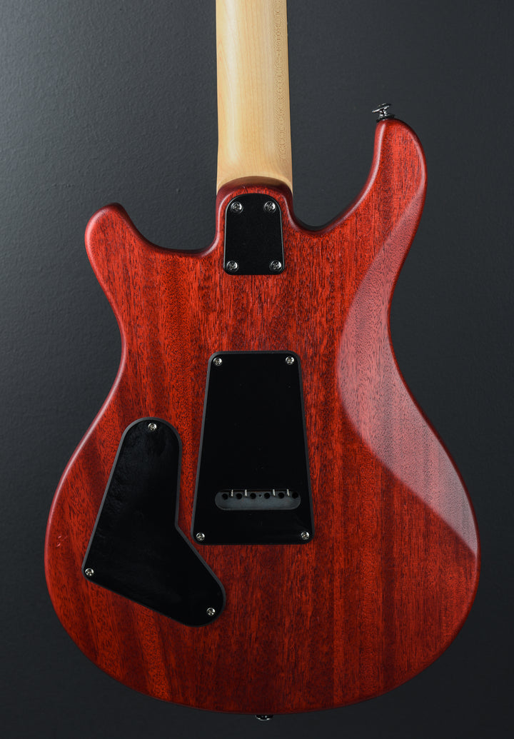 SE CE-24 Standard Satin '24
