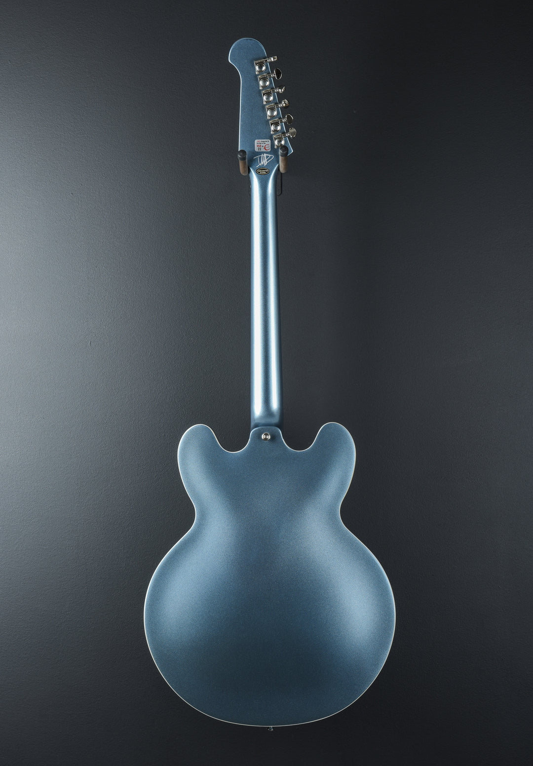 Dave Grohl DG-335 &