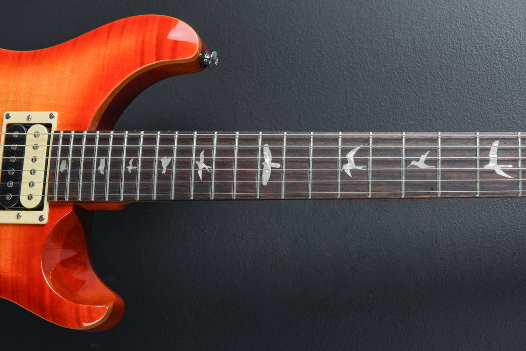 SE Custom 24-08 &