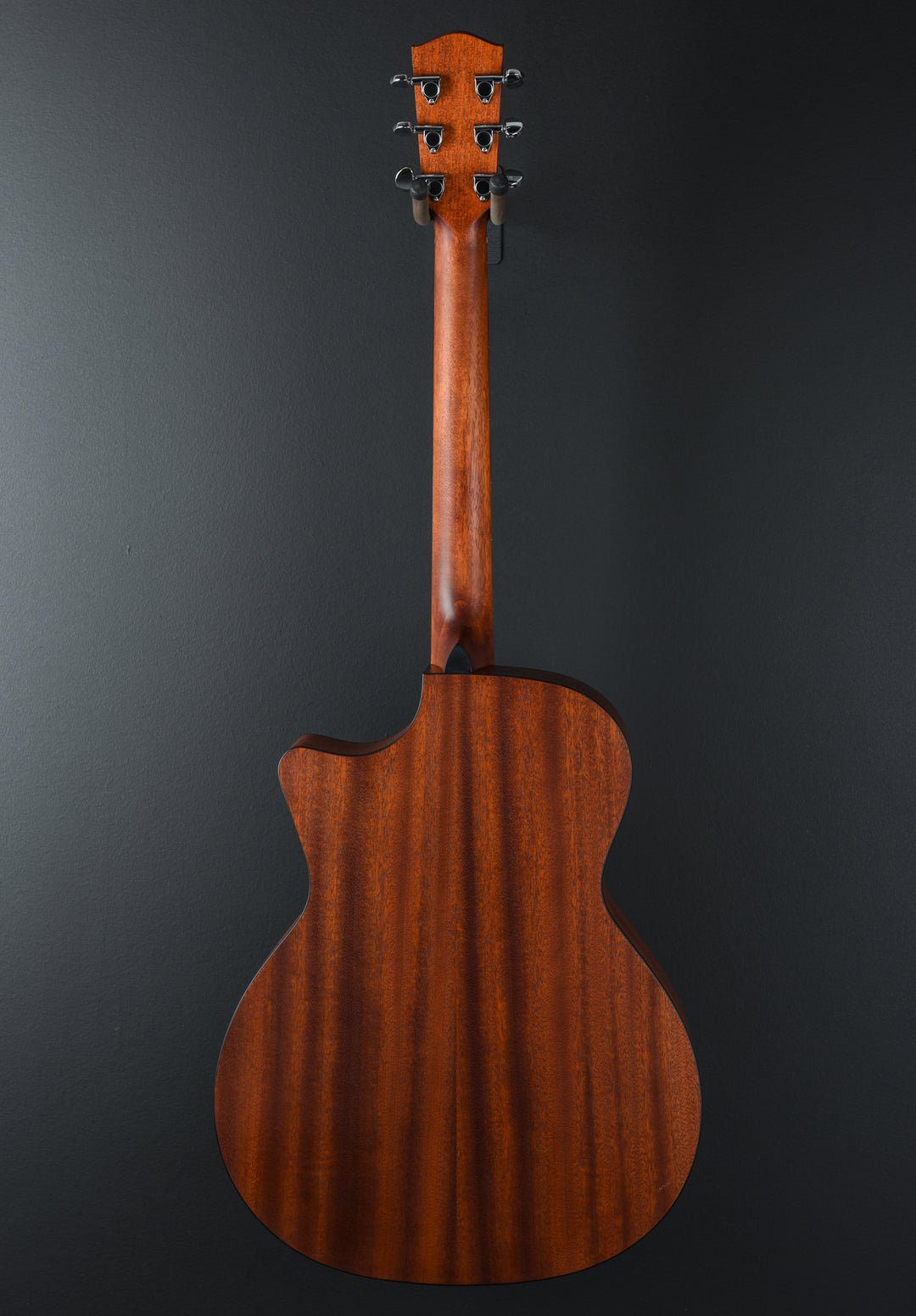 PCH1-GACE – Natural