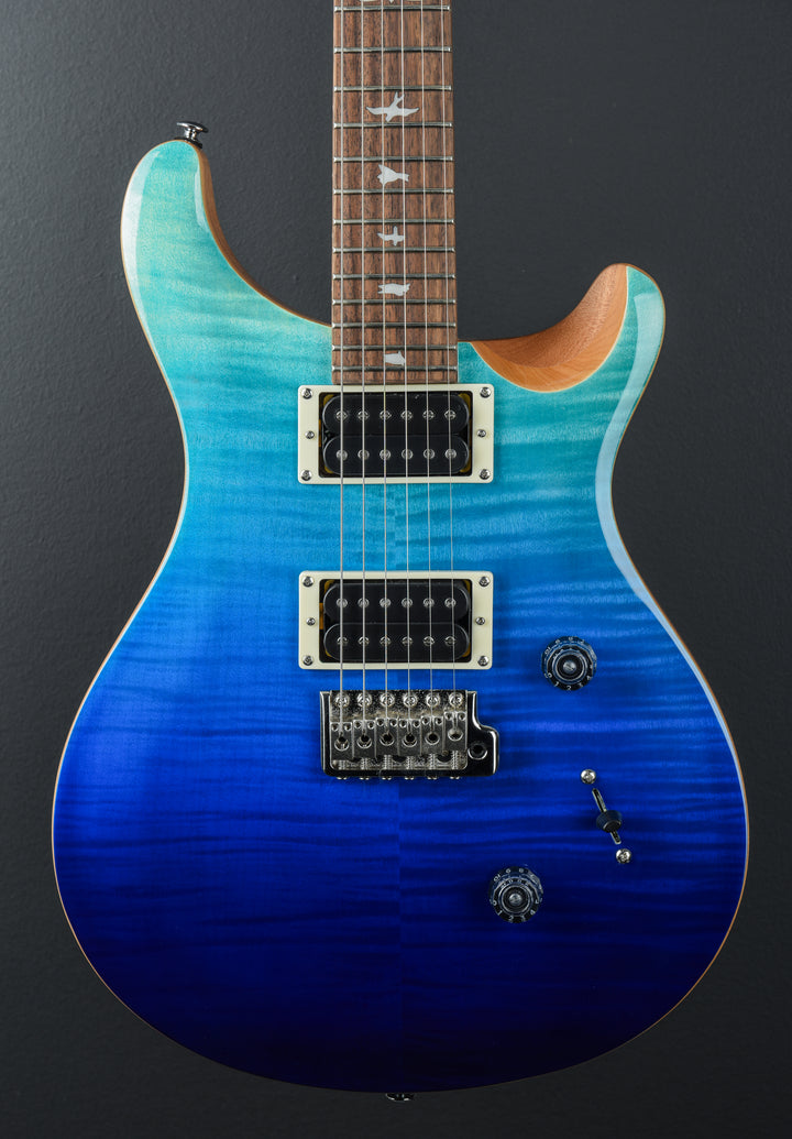 SE Custom 24 Limited '24