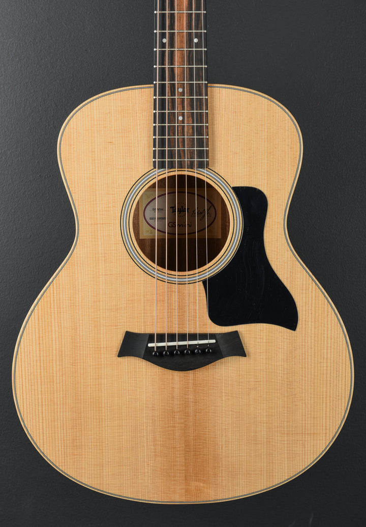GS Mini Sapele '25