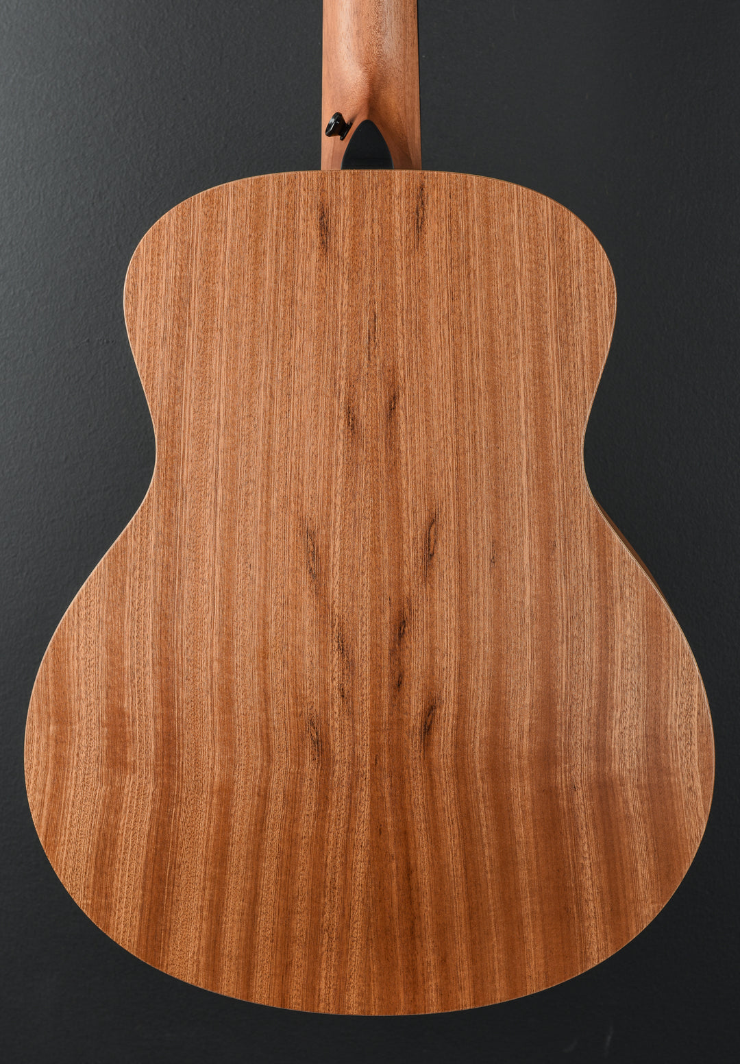 GS Mini Sapele '25