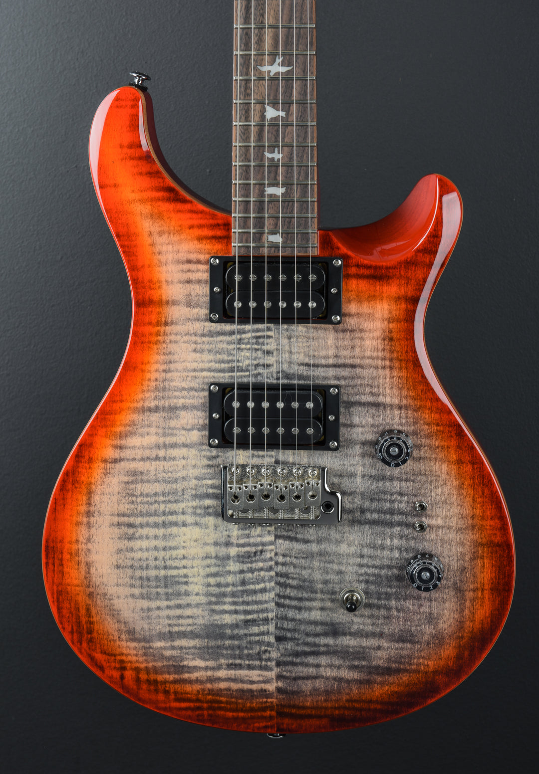 SE Custom 24-08, '24
