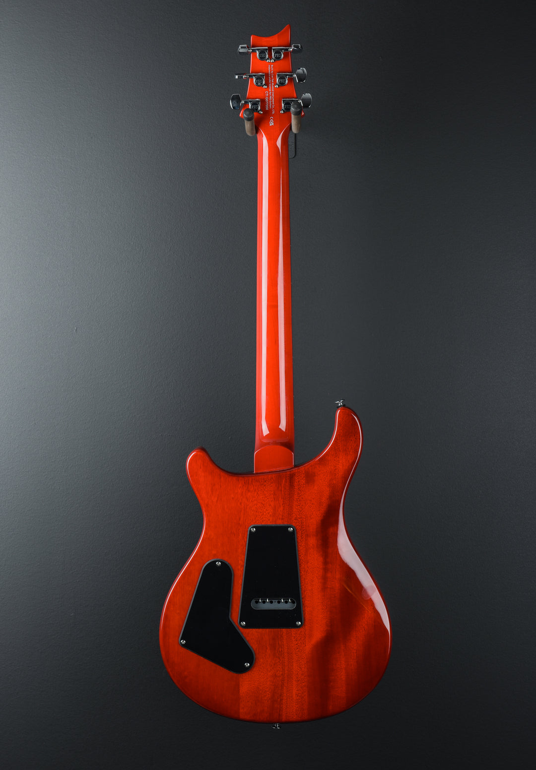SE Custom 24-08, '24