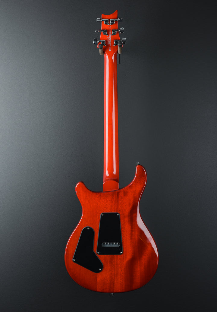 SE Custom 24-08, '24