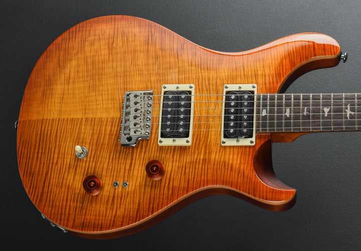 SE Custom 24-08 &