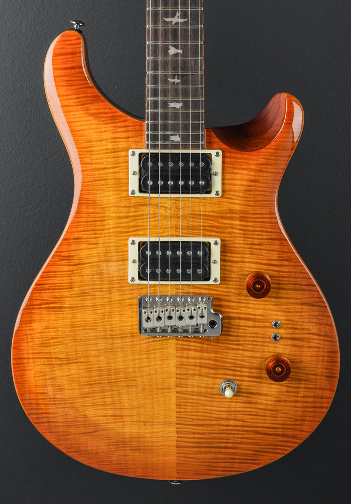 SE Custom 24-08 &