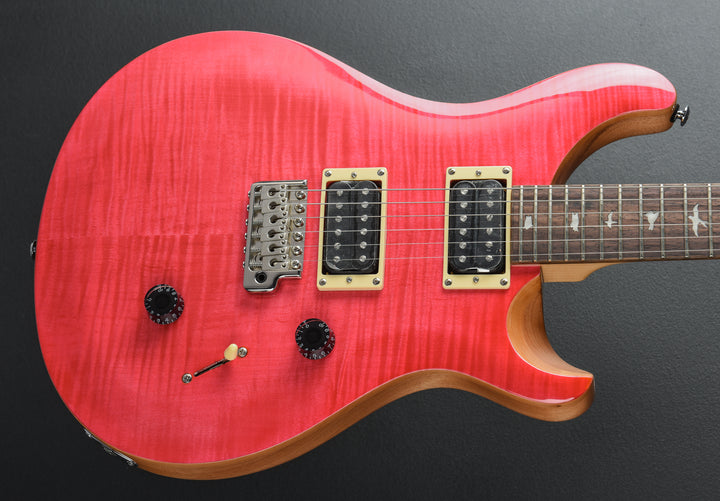 SE Custom 24 &