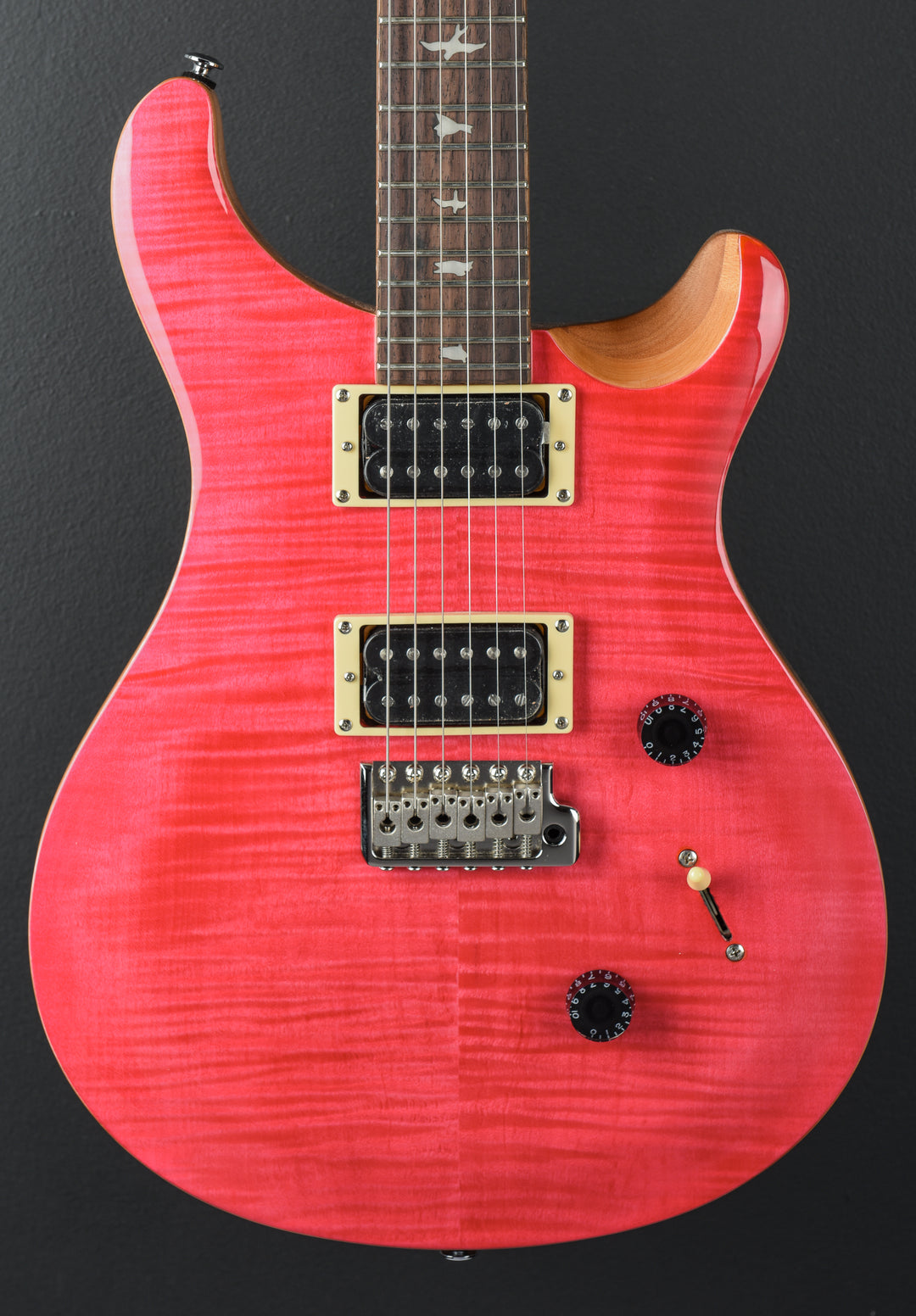 SE Custom 24 &